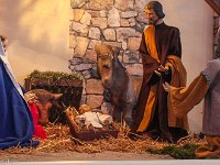 zyklos1  (2) : 2012, Dezember, Jahreskrippe